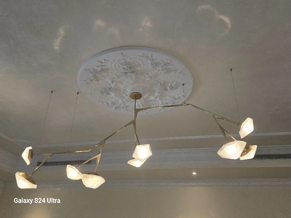 Slide of Saleum Electric