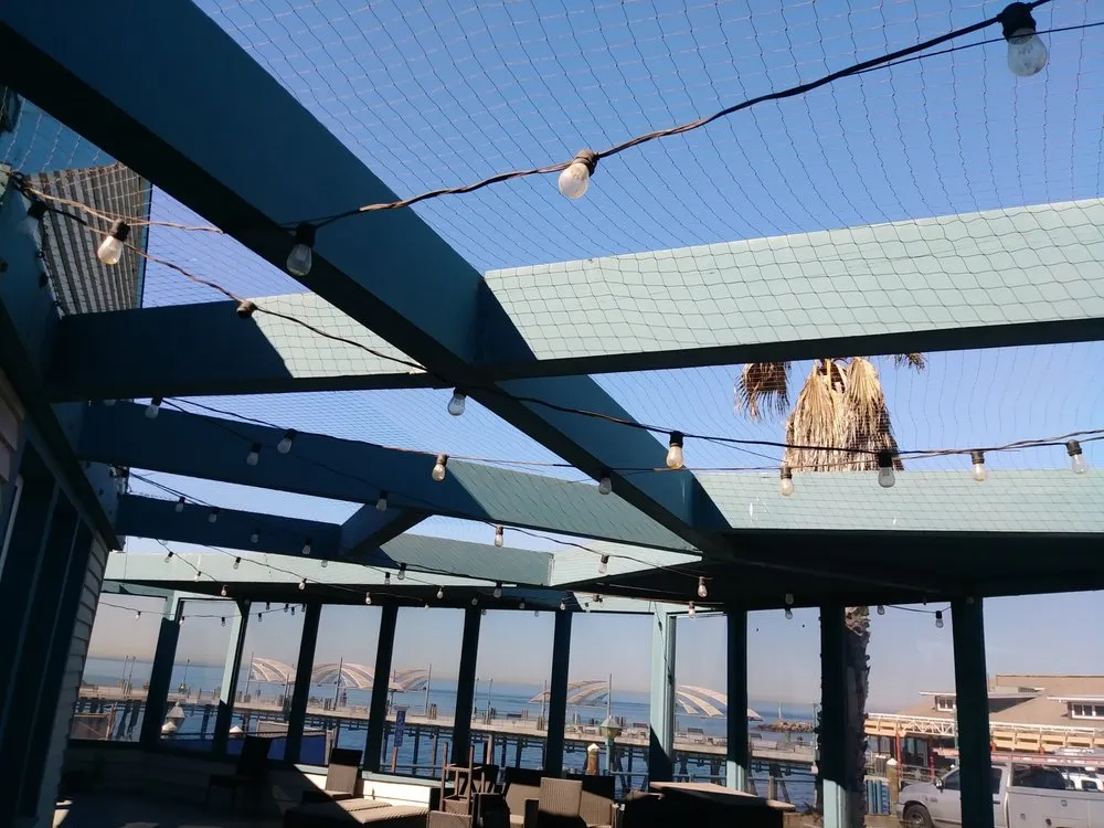 Slide of Sal's Electrical