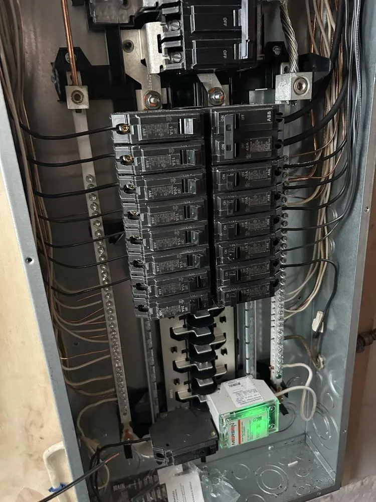 Slide of Salt Dog Electric