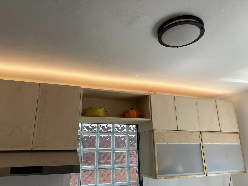 Slide of Salt Dog Electric