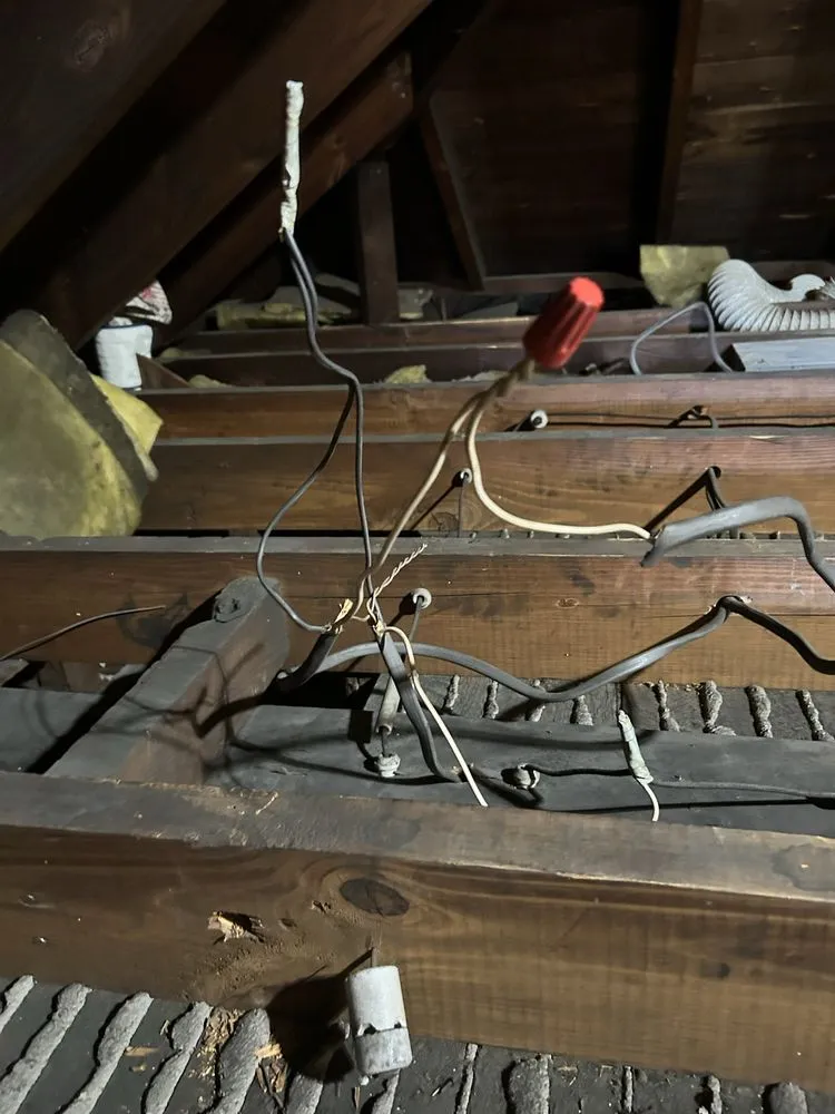 Slide of Salt Dog Electric