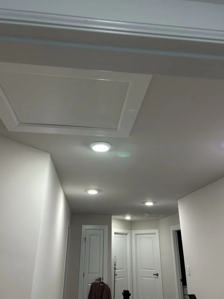 Slide of Salt Dog Electric