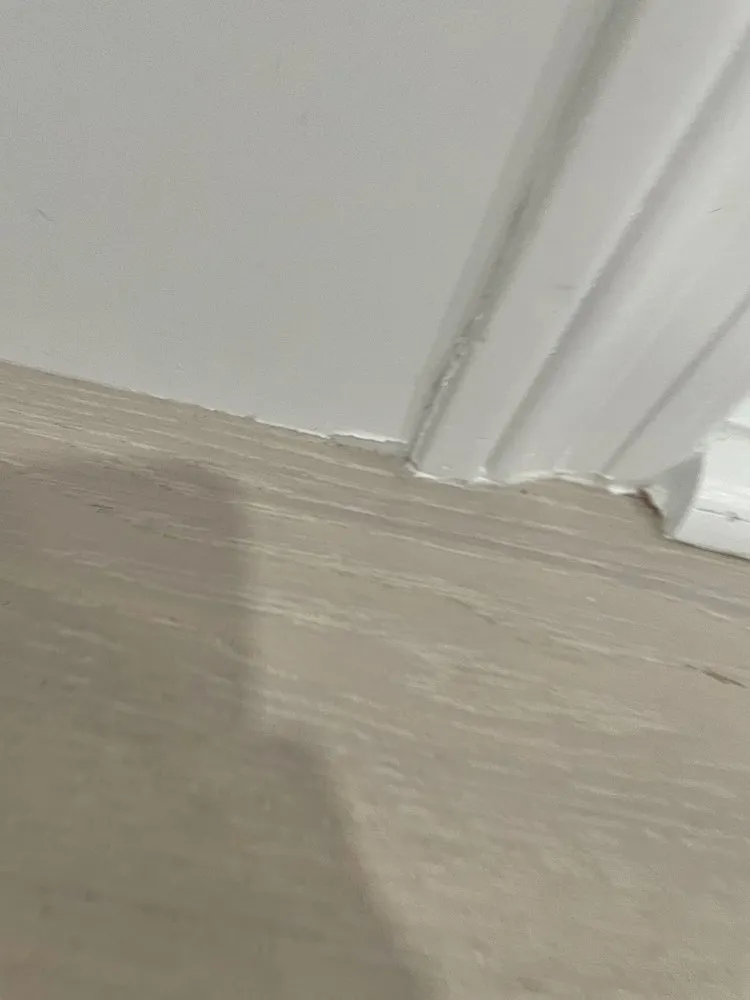 Slide of Sam Handyman