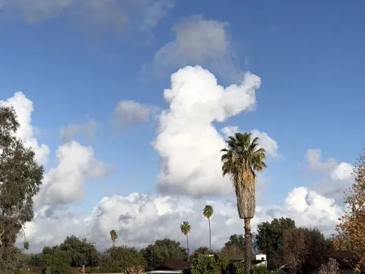 Sam Scott Builders Logo