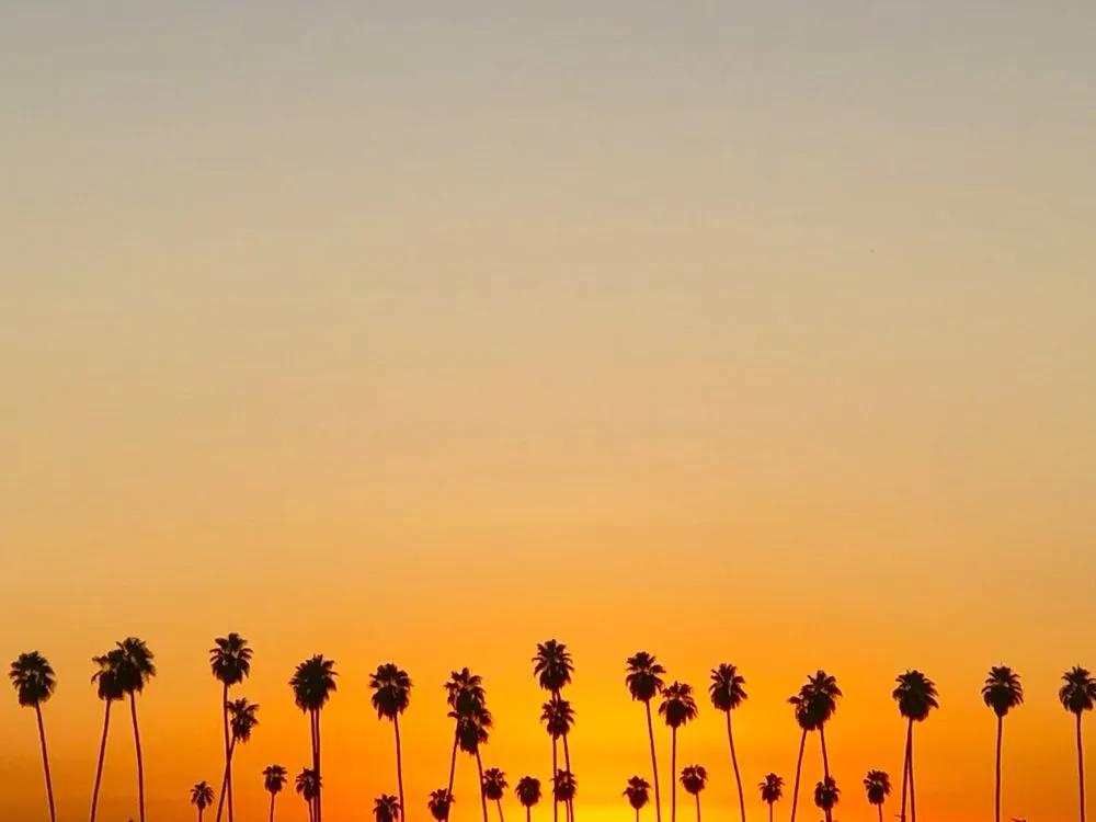 Affordable electrician providing outlet and switch repair in , 