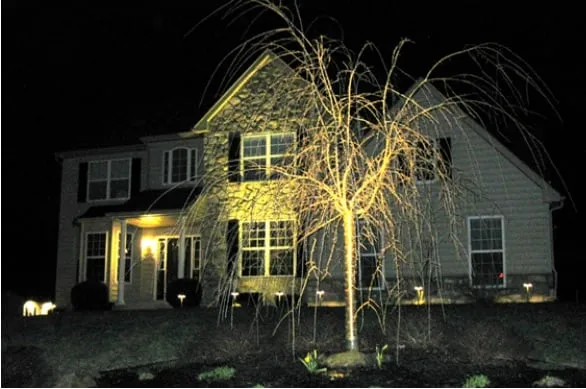 Slide of Samuel N Hoy & Sons