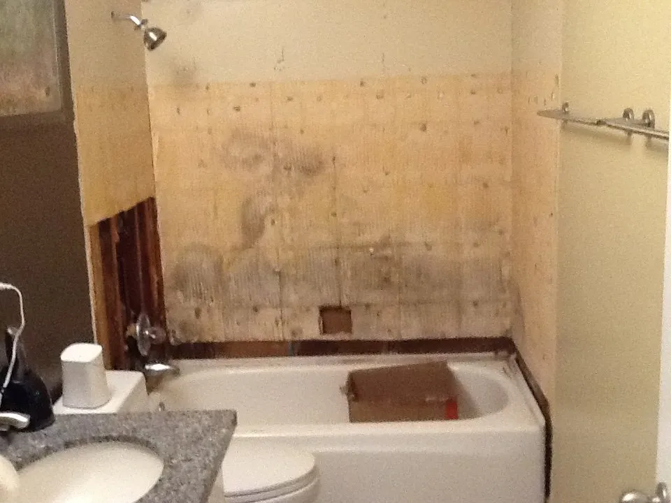 Professional electrical service for homes in electrical repair,  by 