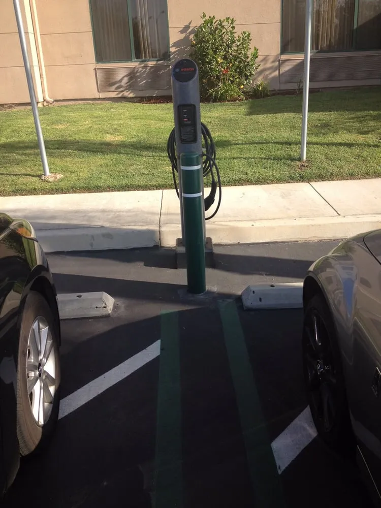 Slide of Sasquatch Electric