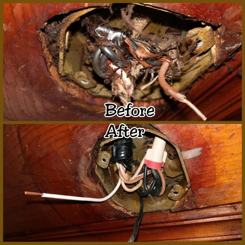 Expert panel upgrade in Natural Bridge Station, VA by Satterfield Electric