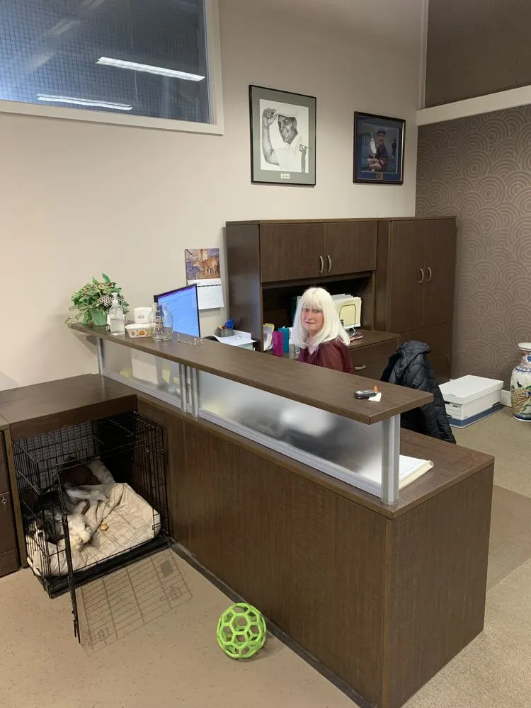 Slide of Saturn Electric