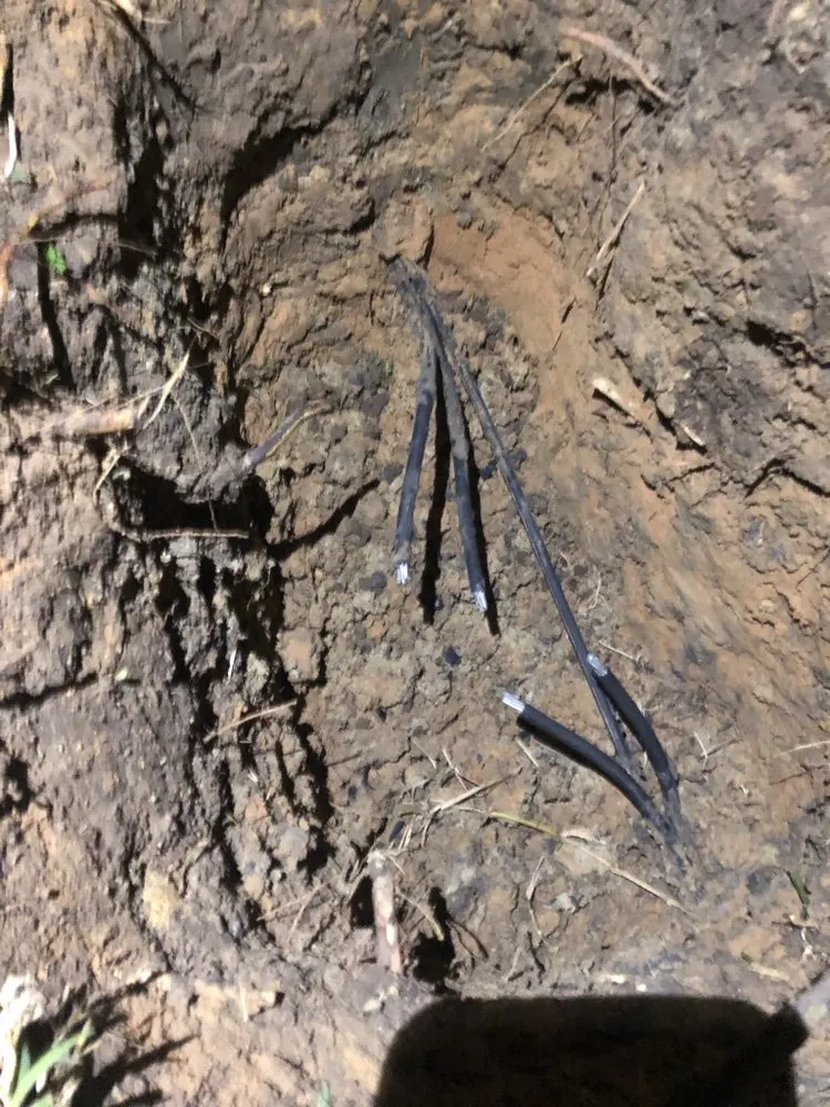 Slide of Saulter Electric