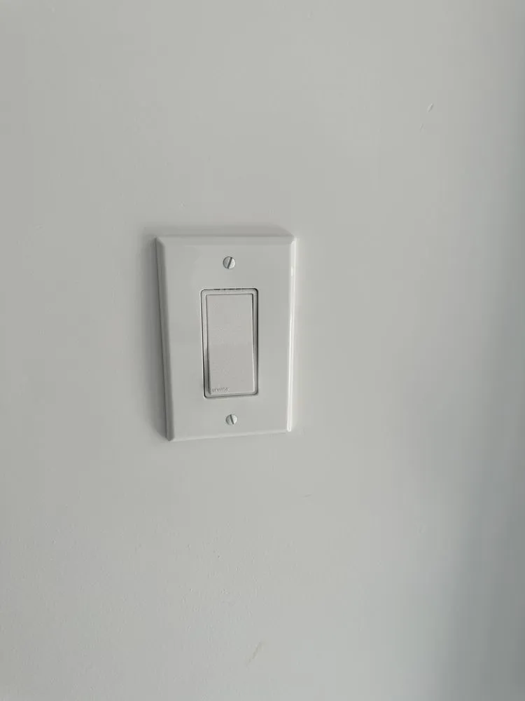 Slide of Savian’s Electric