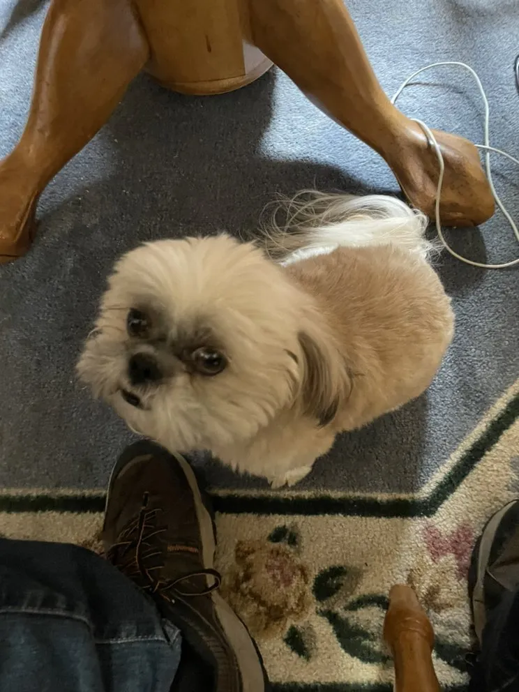 Slide of Sawyer Electric Heating & AC