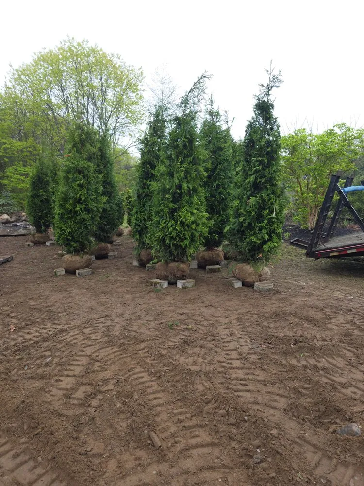 Slide of Schichtel's Property Services