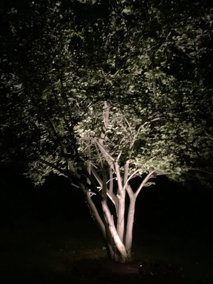 Slide of Schomber Electric