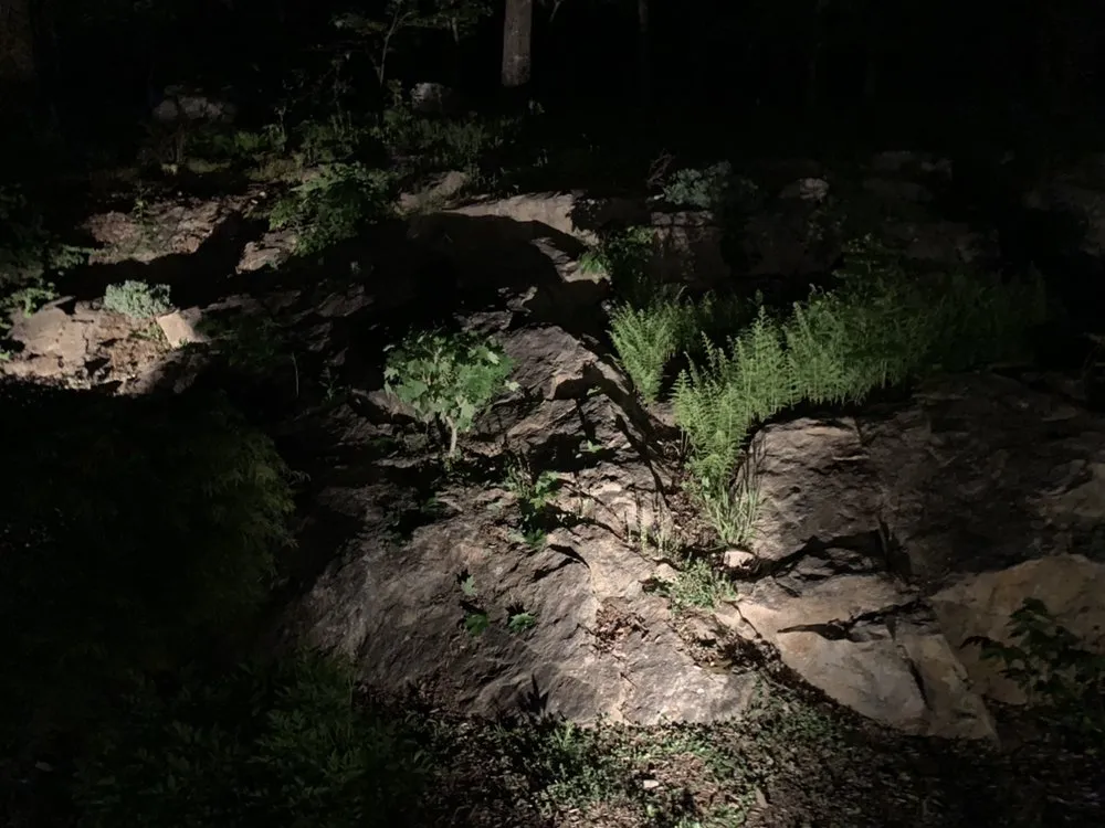 Slide of Schomber Electric