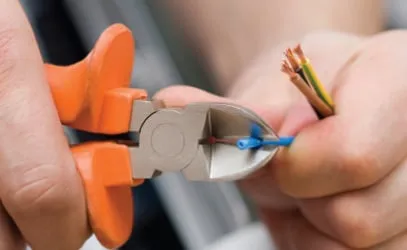 Slide of Schumann Electric