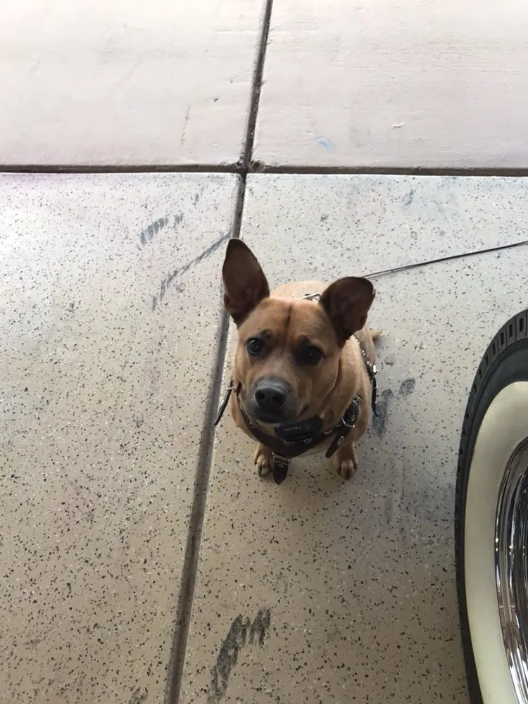 Slide of Scottsdale Electric