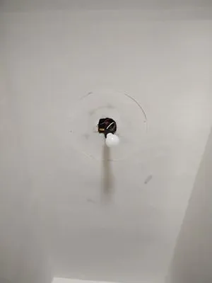 Scrappy's Magic Touch