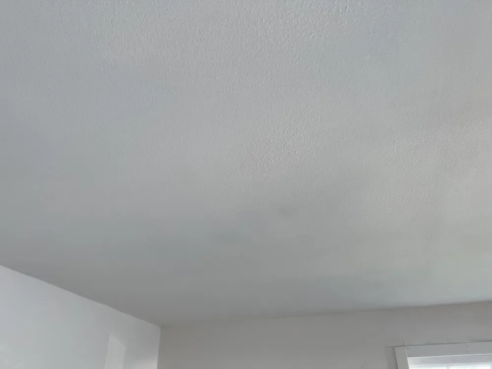 Reliable outlet and switch repair service in ,  - Seans Handyman Services