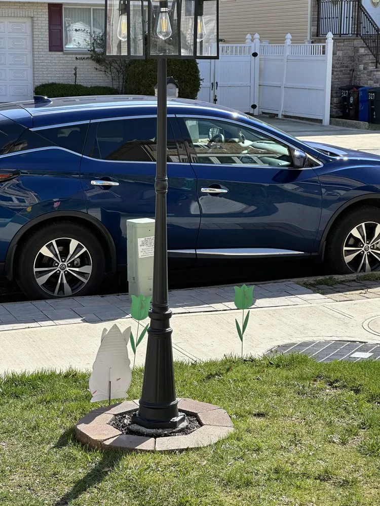 Slide of Seba’s Plumber