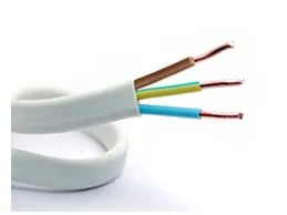 Slide of Segars Electric