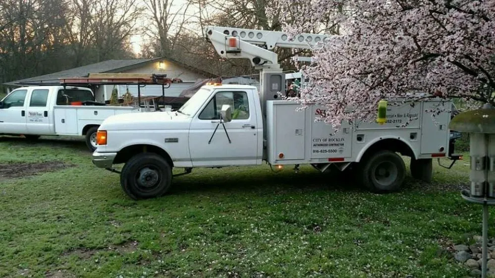 Slide of Select Electric