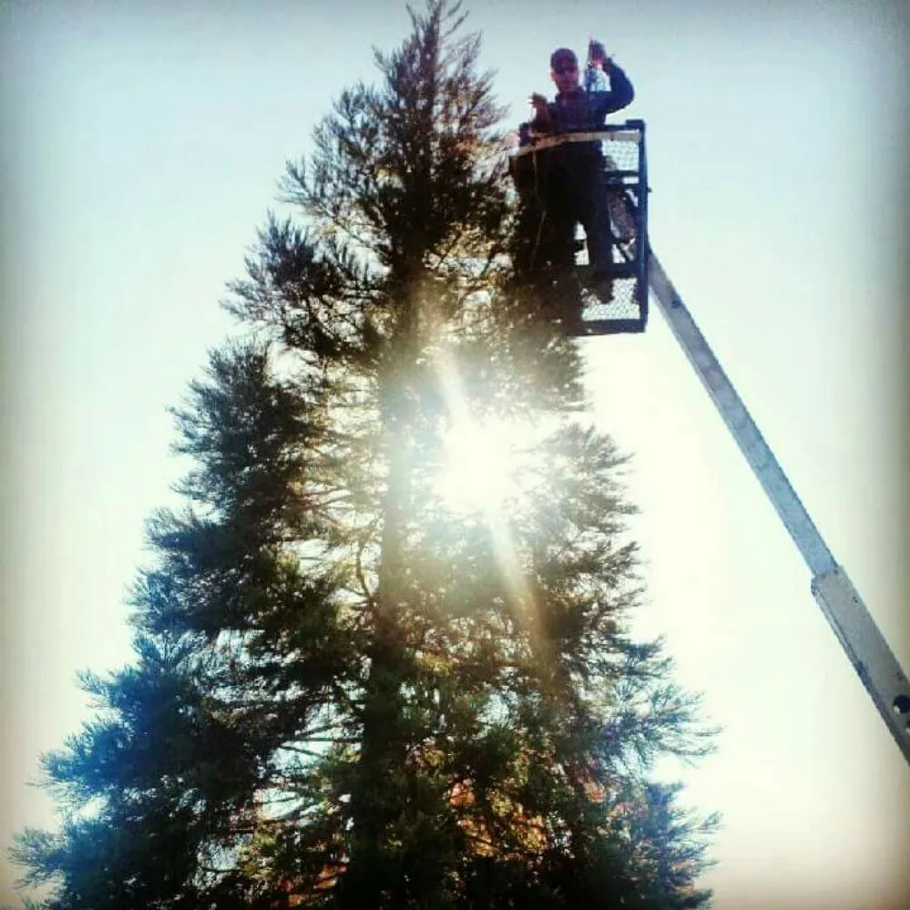 Slide of Select Electric