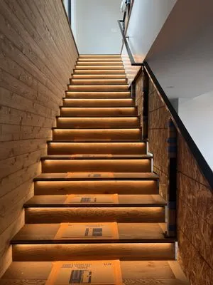 Selkirk Electric Logo