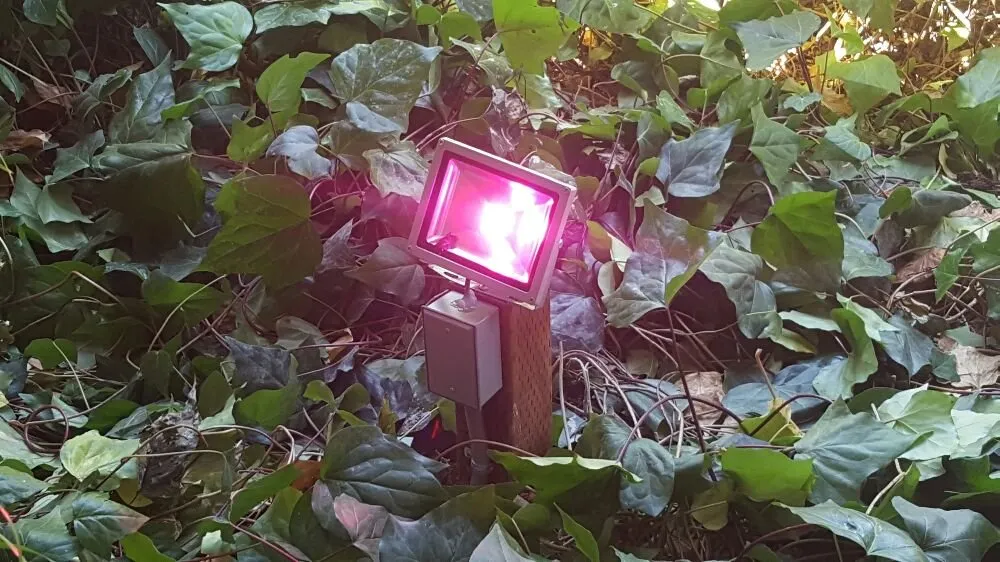 Slide of Selsor Electric