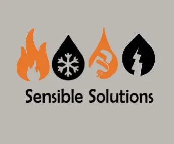 Slide of Sensible Solutions Services