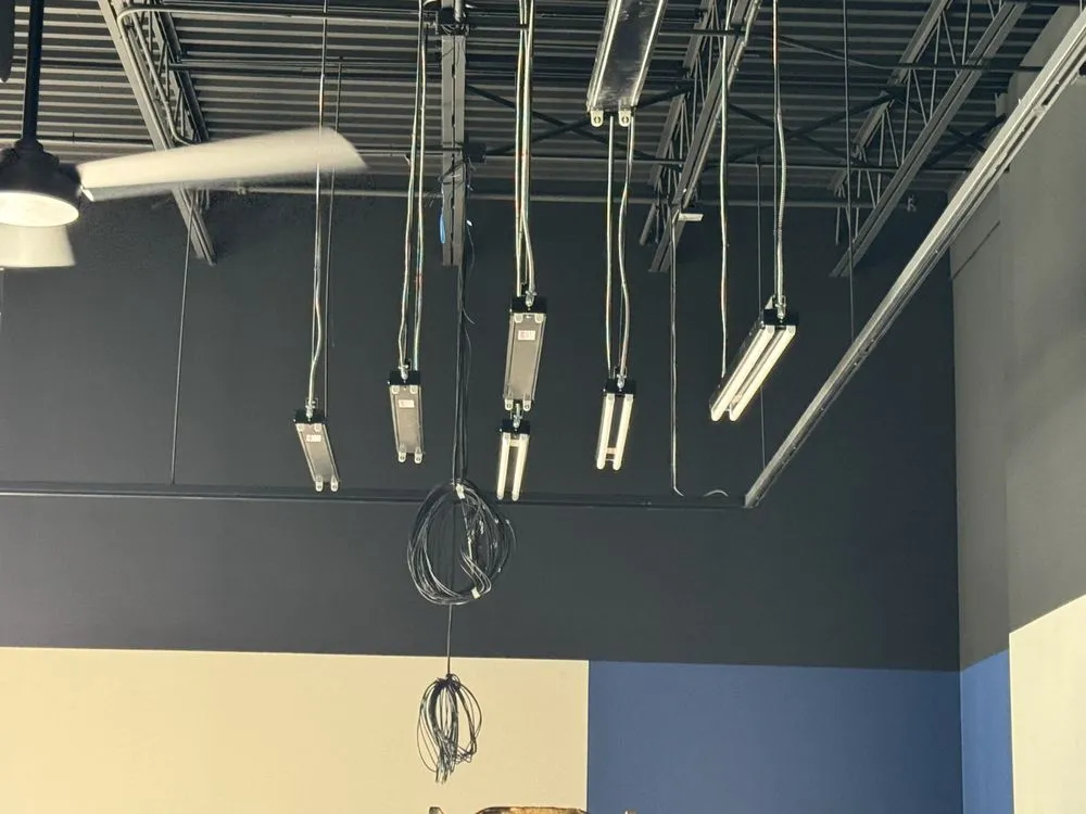 Affordable electrician providing outlet and switch repair in Engleside, VA - Ser Electric
