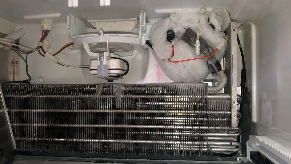 Slide of Ser G Comfort