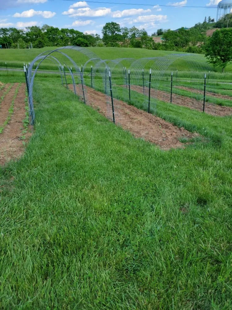 Slide of Serenity Farm and Services