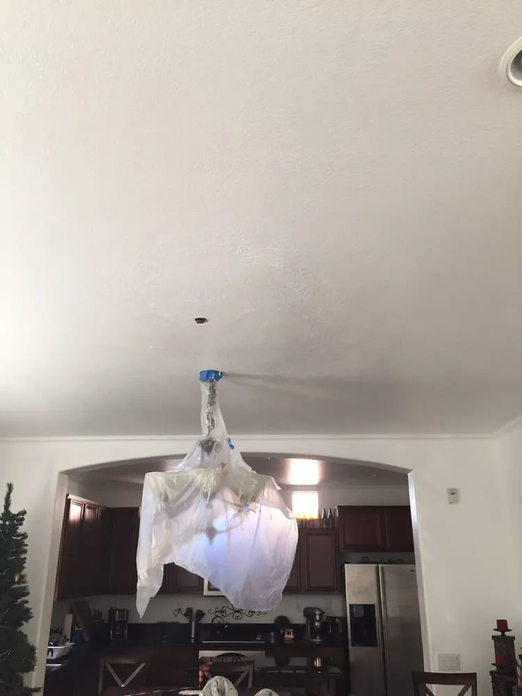 Slide of Sergios Construction