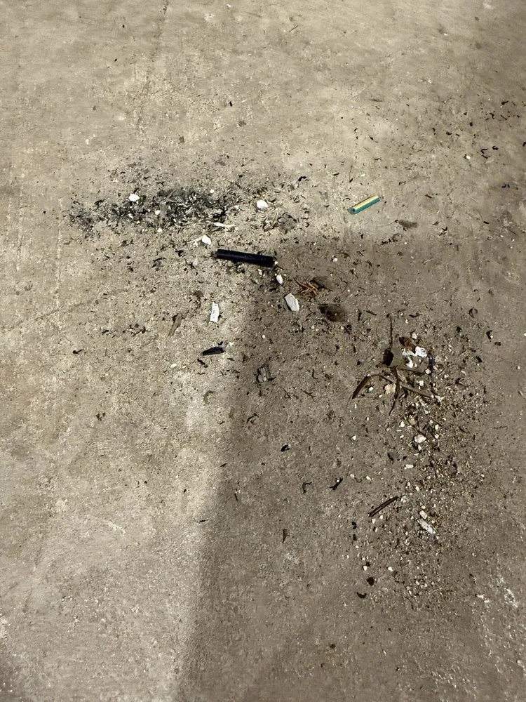 Slide of Service Professor