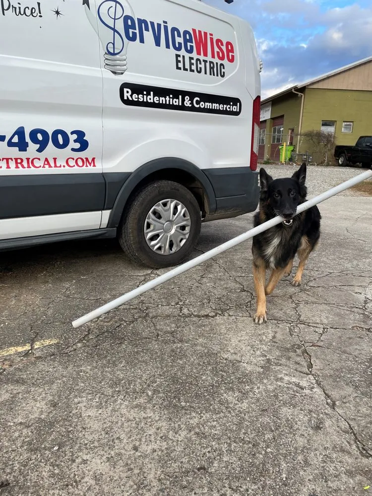 Reliable panel upgrade experts serving ,  - Servicewise Electric & Plumbing