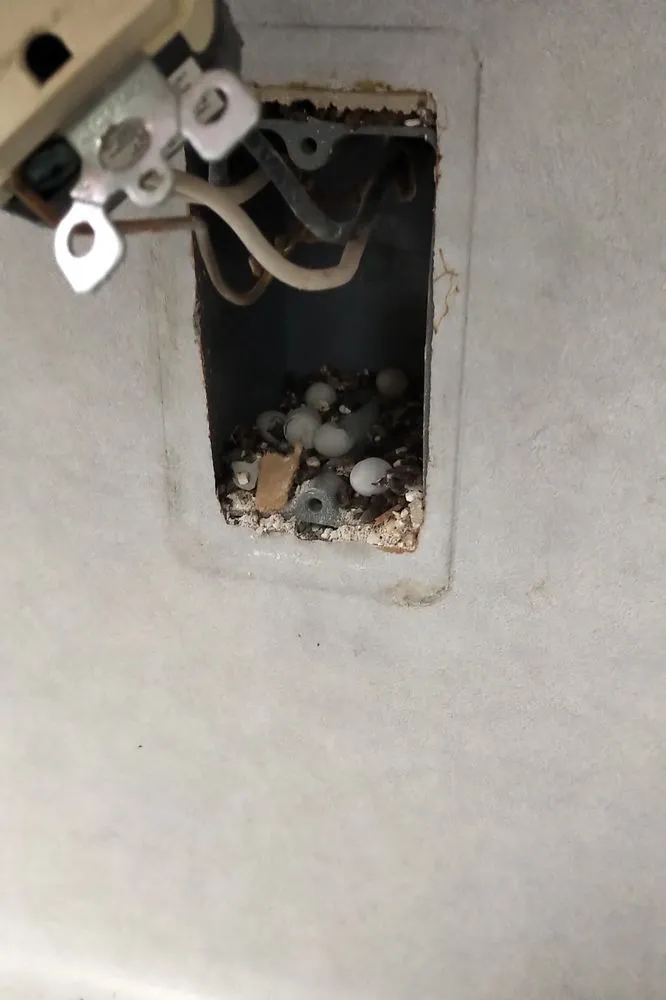 Slide of SES Electric