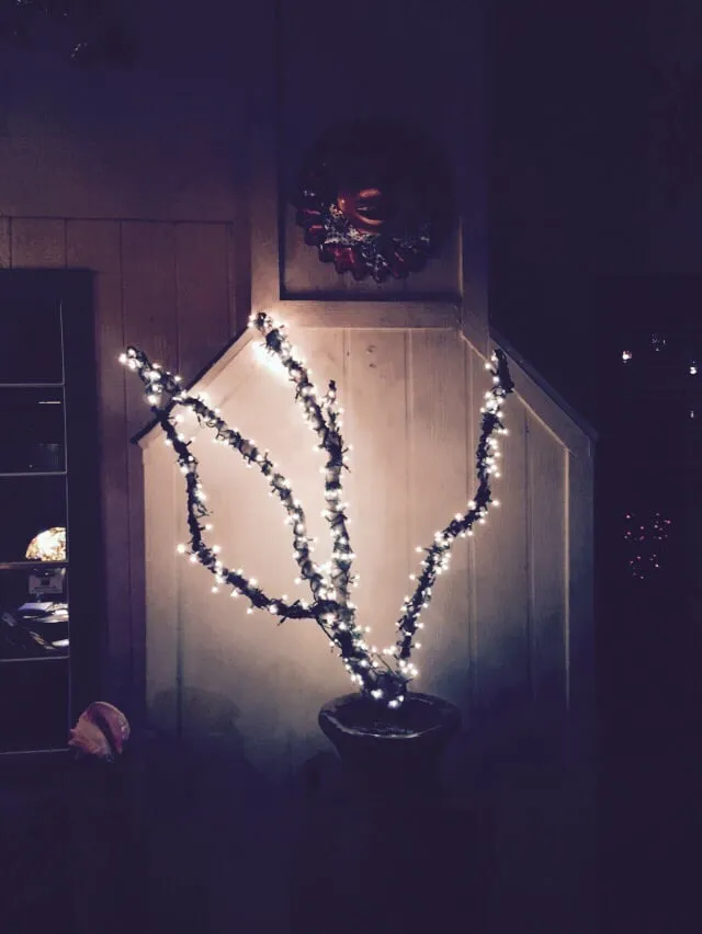 Slide of SES Electric