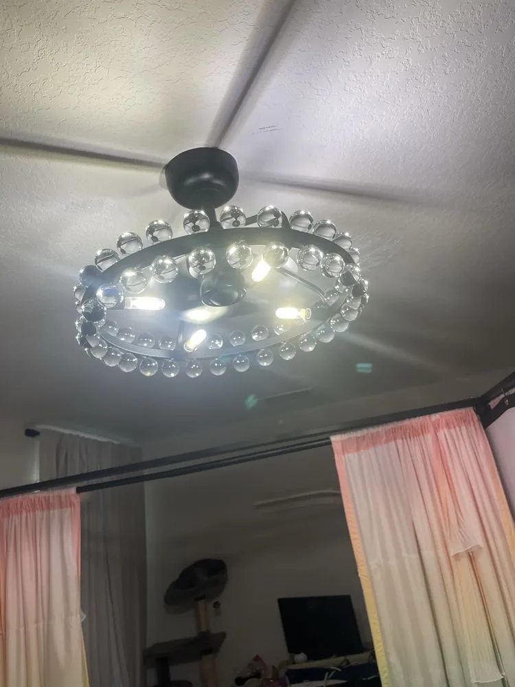 Slide of Seven Petal Electric