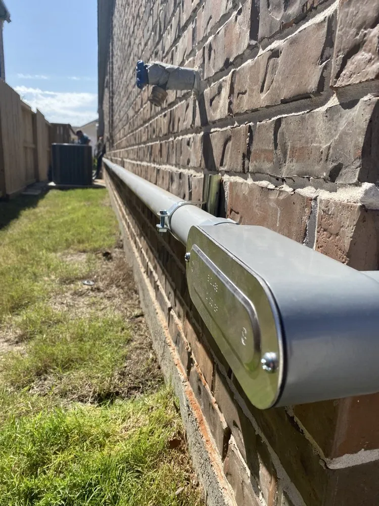 Slide of Seven Petal Electric