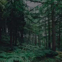 Slide of SGS Electric