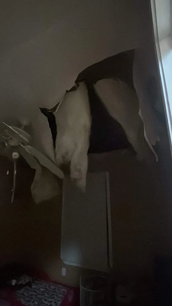 Slide of ShadowBandz Electrical Services & Home Improvement