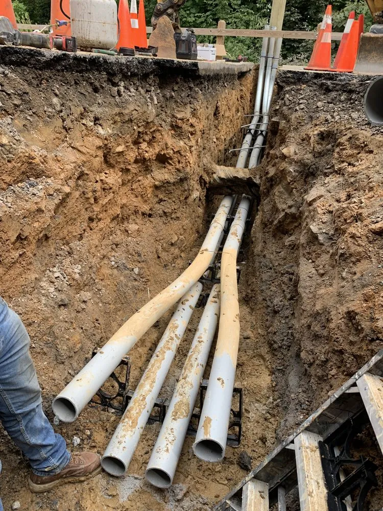 Slide of Shafnisky Electric