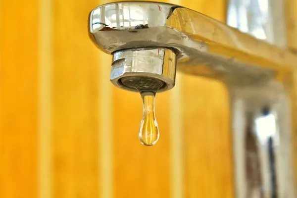 Shag-Bark Plumbing