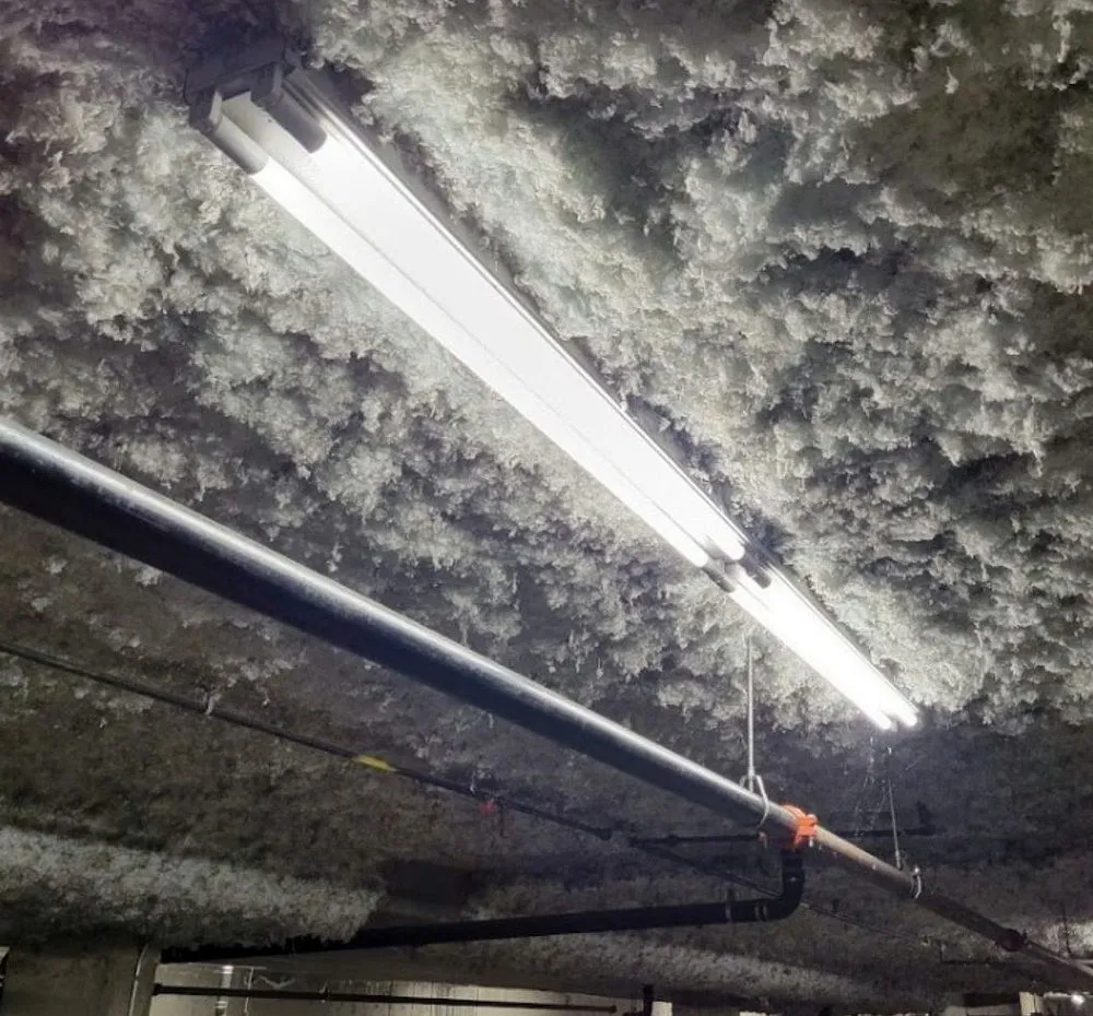 Slide of Shaker Heights Electric