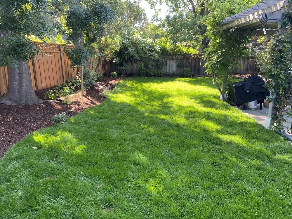 Slide of Shalom Handyman