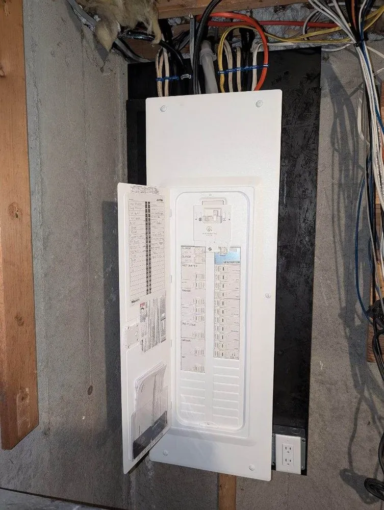 Slide of Shameless Plug Electric