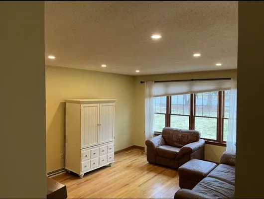 Shameless Plug Electric