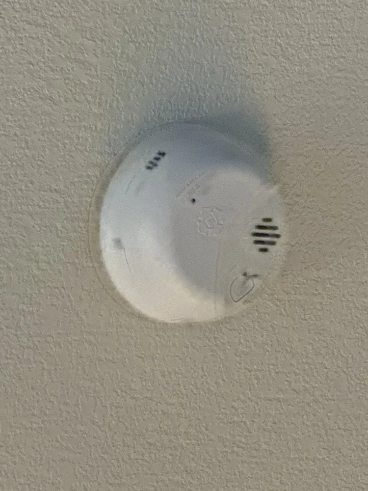 Slide of Shamrockin Electric